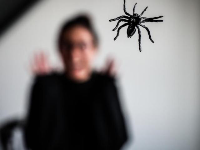 Les phobies ne surviennent jamais par hasard et ont toujours une origine